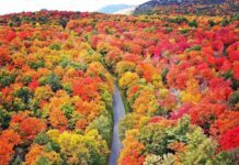 Ottawa’s Natural Wonders: Top 5 Must-See Spots in the Capital