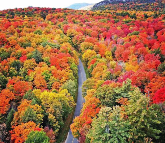 Ottawa’s Natural Wonders: Top 5 Must-See Spots in the Capital