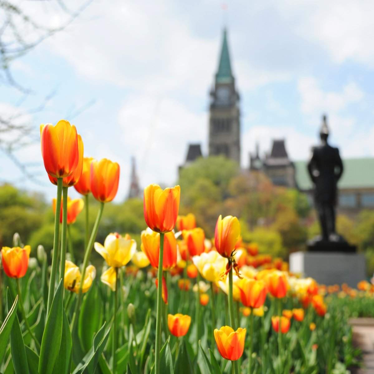 Major's Hill Park — Park