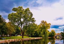 Ottawa’s Largest Nature Reserves