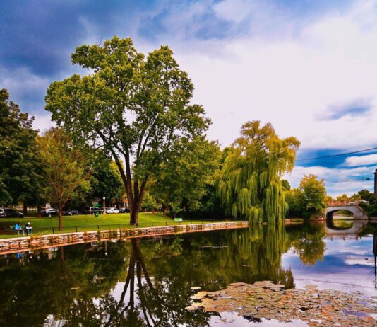Ottawa’s Largest Nature Reserves