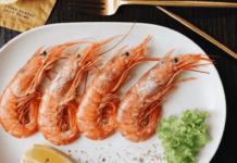 Ontario’s Shrimp Farm: From Pig Farming to a Thriving Shrimp Business