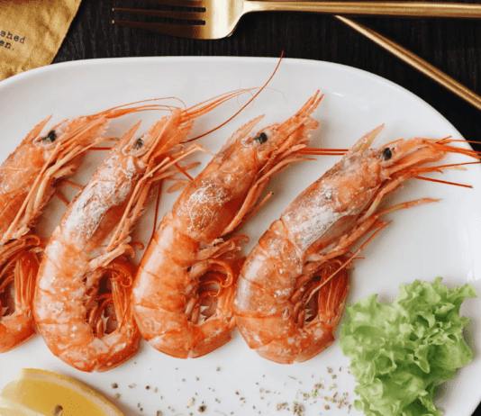 Ontario’s Shrimp Farm: From Pig Farming to a Thriving Shrimp Business
