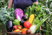 Історія оттавської екоферми