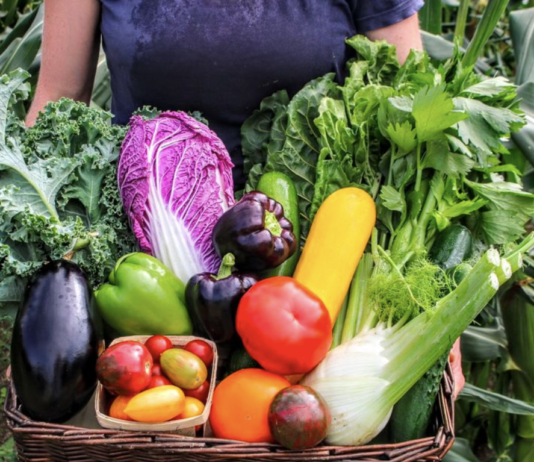 История оттавской экофермы