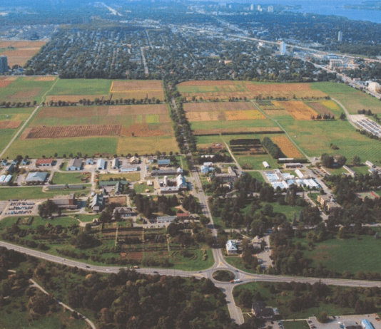 История исследовательской фермы Оттавы