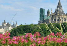 Екологічні інновації Оттави та їх вплив на розвиток та розширення міста