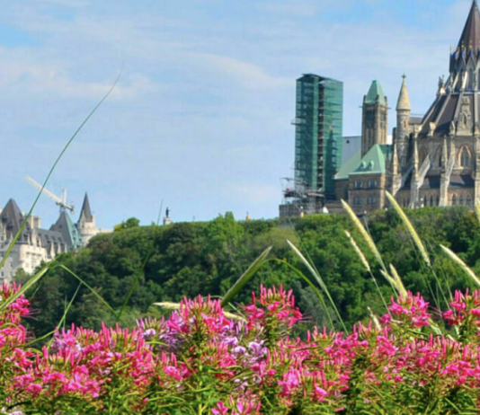 Экологические инновации Оттавы и их влияние на развитие и расширение города