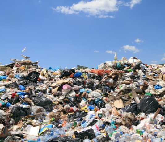 New Waste Disposal Technologies in Ottawa: How to Prevent Landfill Overcrowding