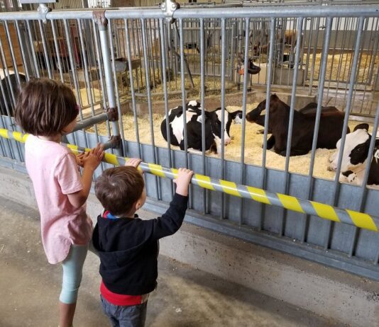 Канадский музей сельского хозяйства и продовольствия. История действующей фермы в Оттаве