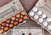 Beking’s Poultry Farm: A Legacy of Quality in Ottawa