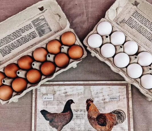 Beking’s Poultry Farm: A Legacy of Quality in Ottawa