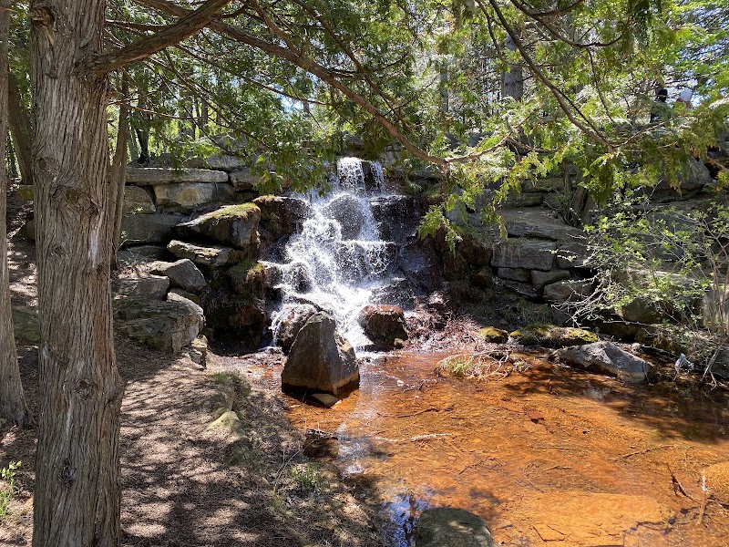 Andrew Haydon Park