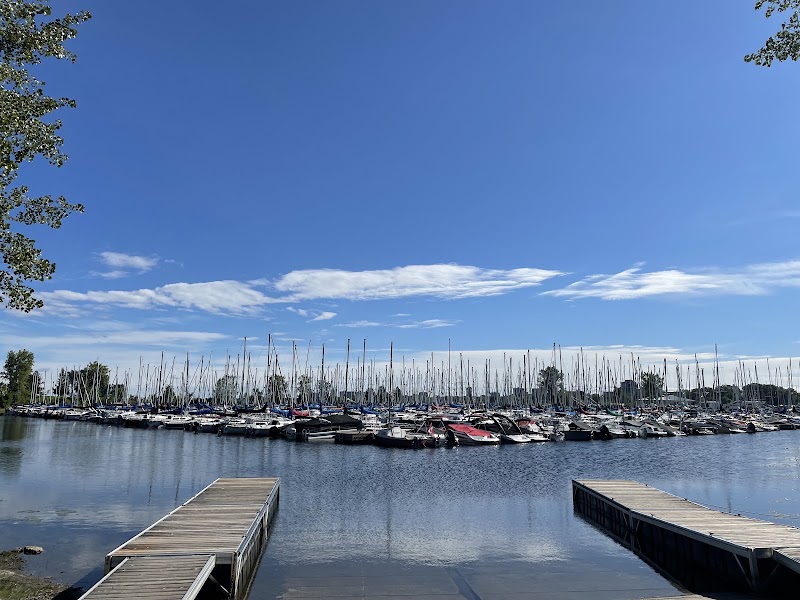 Andrew Haydon Park