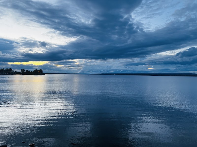 Andrew Haydon Park