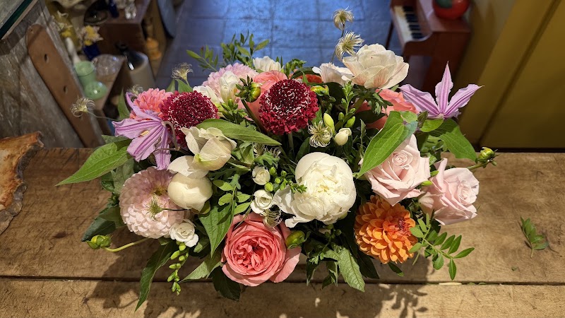 Bel Fiore Flower Shop, Downtown Ottawa