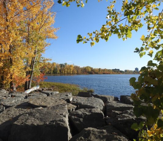 Britannia Park and Beach