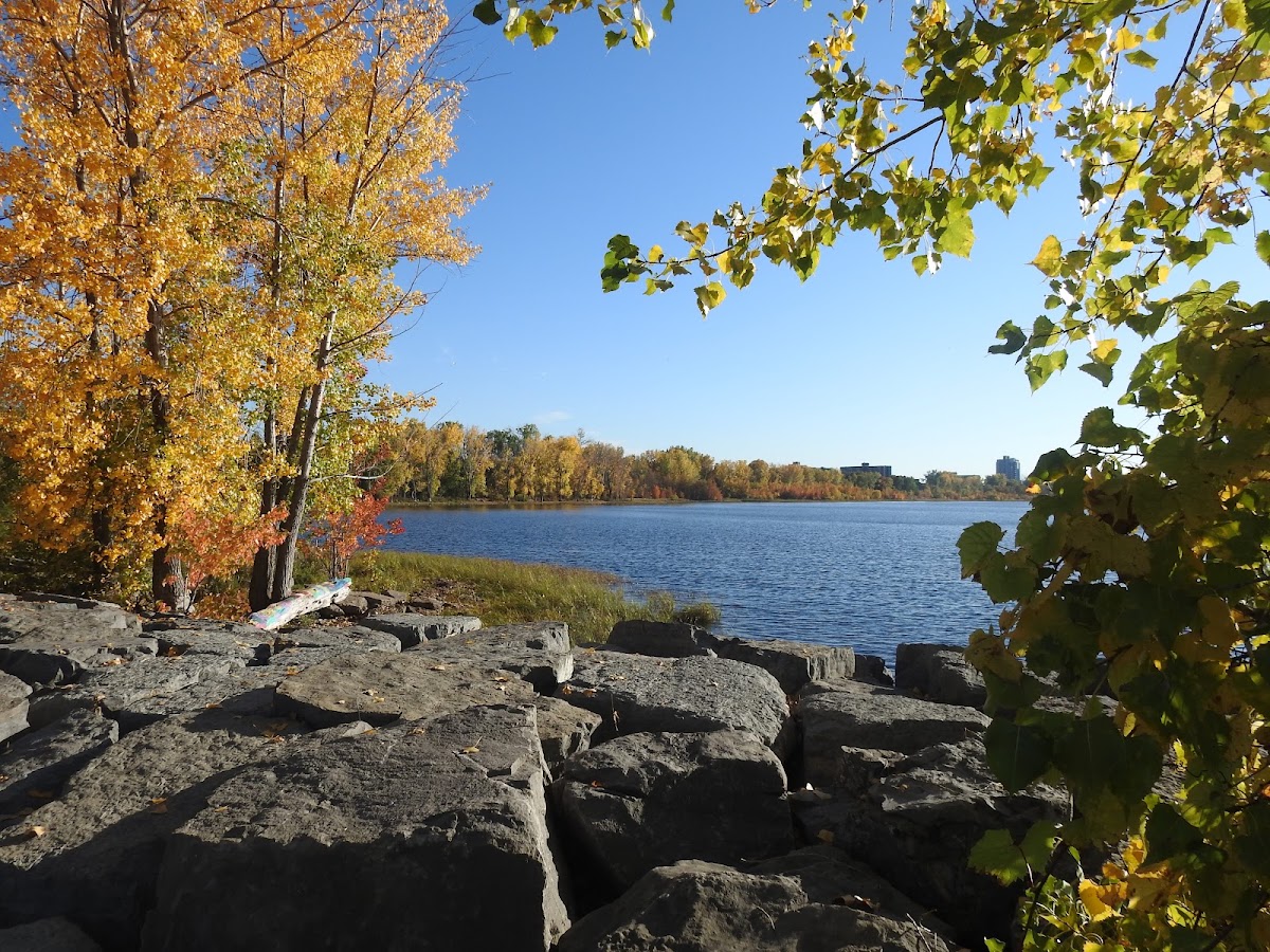 Britannia Park and Beach — Park