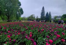 Commissioners Park