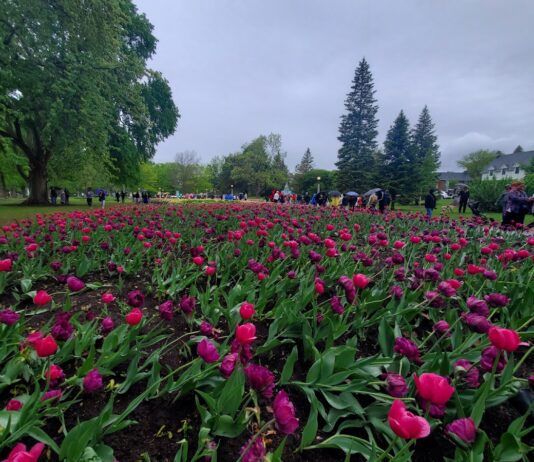 Commissioners Park