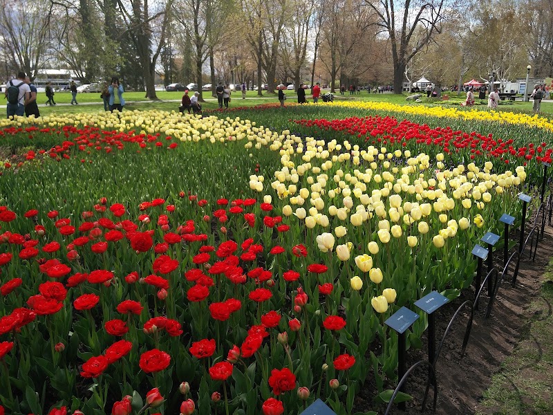 Commissioners Park