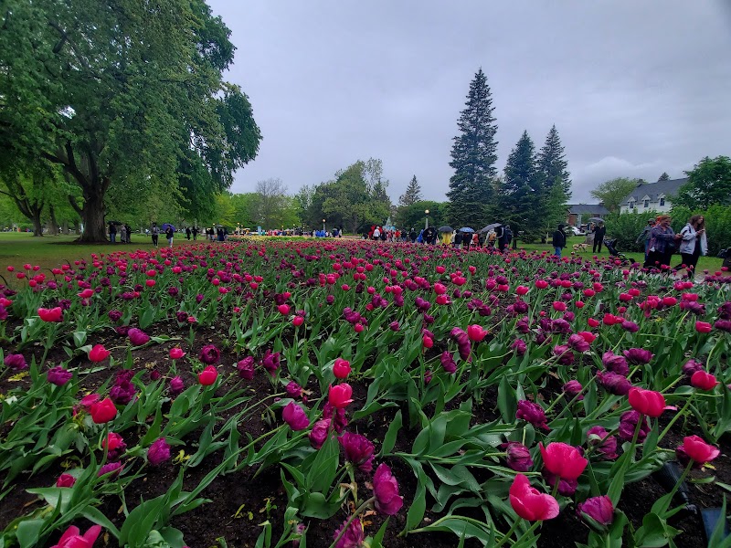 Commissioners Park