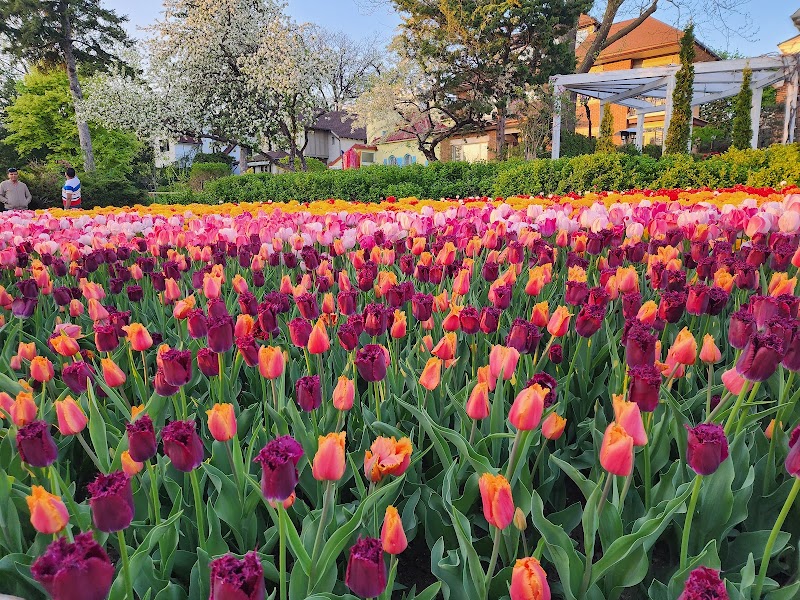 Commissioners Park