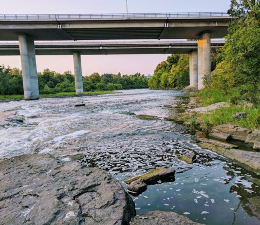 Hog’s Back Park