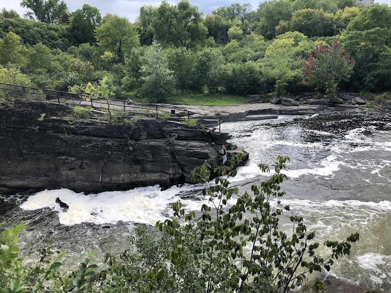 Hog's Back Park