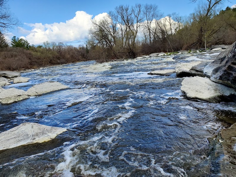 Hog's Back Park