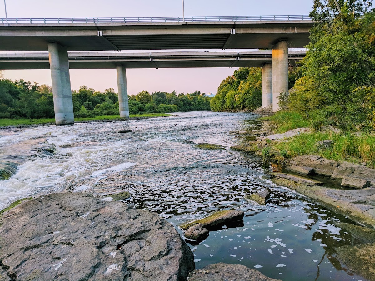 Hog's Back Park — Park