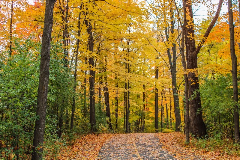 Vincent Massey Park